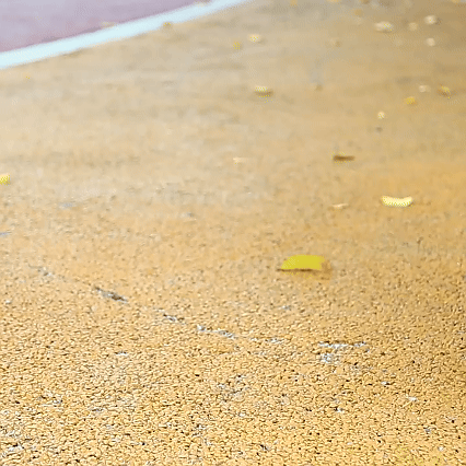 🔥 50% zniżki dzisiaj - nie przegap ⏰ Ergonomicznie zaprojektowane buty ortopedyczne - konstrukcja z podparciem łuku stopy 👞 Łatwo pozbądź się bólu stóp